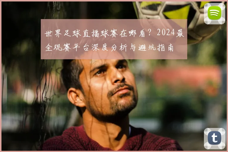 世界足球直播球赛在哪看?2024最全观赛平台深度分析与避坑指南